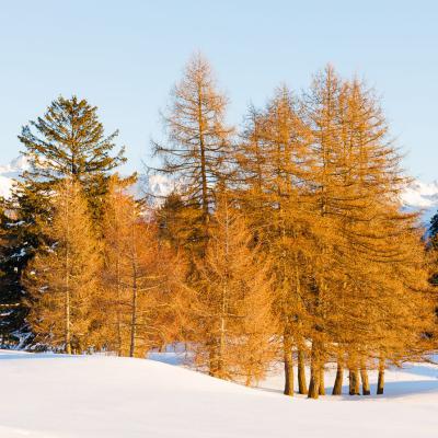 Crans-Montana